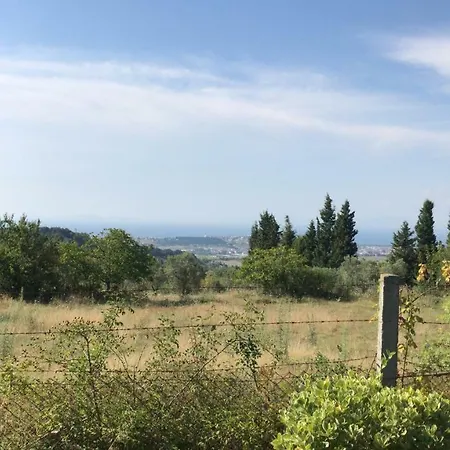 Kirazli Bahce Elmalik (Marmara)